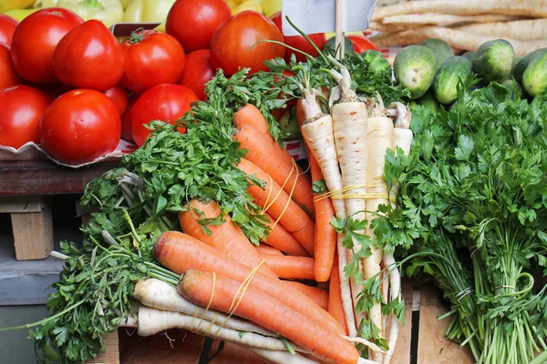 Frisches Gemüse — Stockfoto