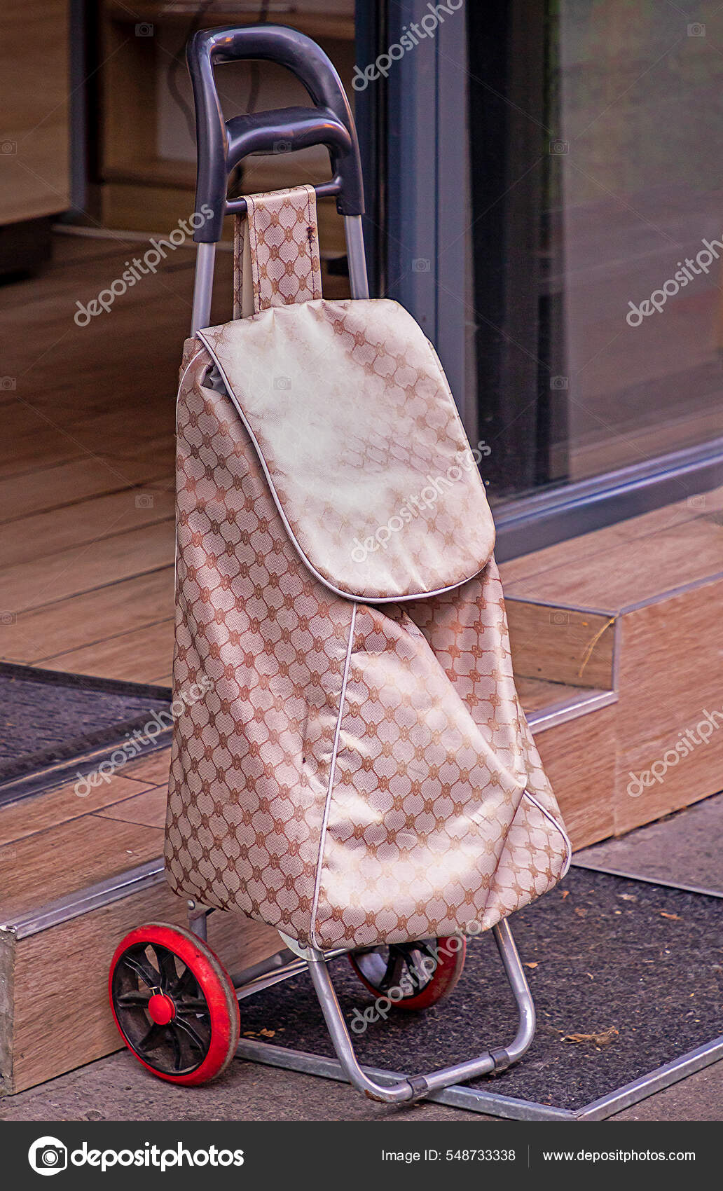 Old lady trolley discount bag