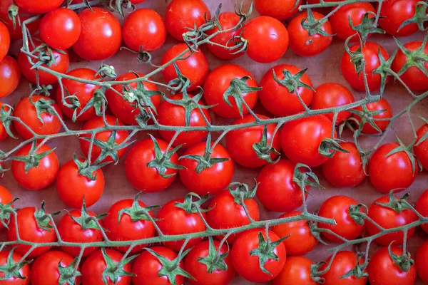 Fresh Red Organic Cherry Tomatoes Vine Cardboard Box — Stock Photo, Image