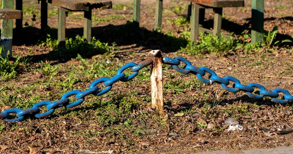 Kamu Parkında Çimlerin Üzerinde Mavi Metal Zincir — Stok fotoğraf