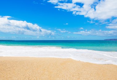 okyanus plaj ve tropikal