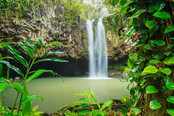 Cascada tropical — Foto de Stock