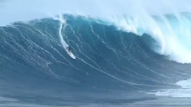Surfen — Stockvideo