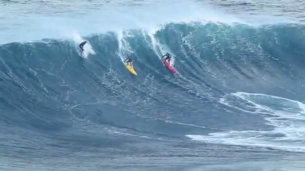 Surfing — Wideo stockowe