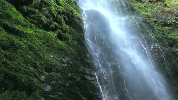 Красивый пышный водопад — стоковое видео