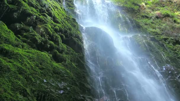 Hermosa cascada exuberante — Vídeo de stock