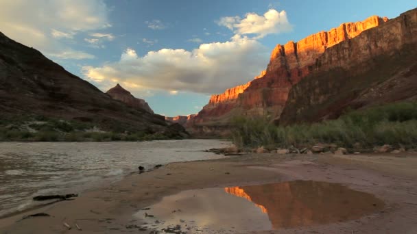 Colorado-elva på bunnen av Grand Canyon – stockvideo