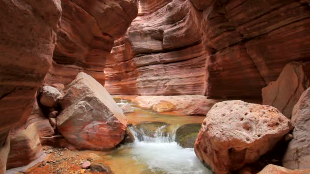 Prachtige waterval in de grand canyon — Stockvideo