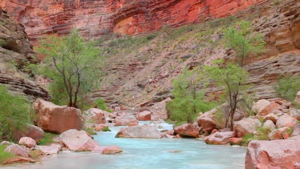 De colorado rivier bij de bodem van de grand canyon — Stockvideo