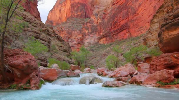 De colorado rivier bij de bodem van de grand canyon — Stockvideo