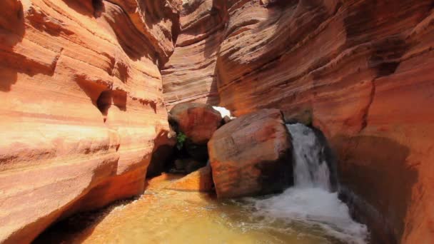 Cachoeira bonita no Grand Canyon — Vídeo de Stock