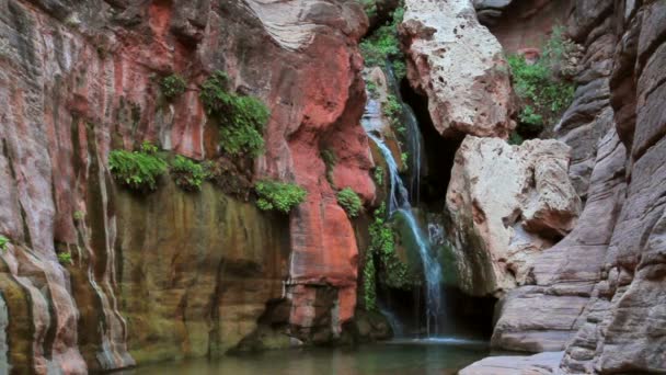 Beautiful Waterfall in the Grand Canyon — Stock Video