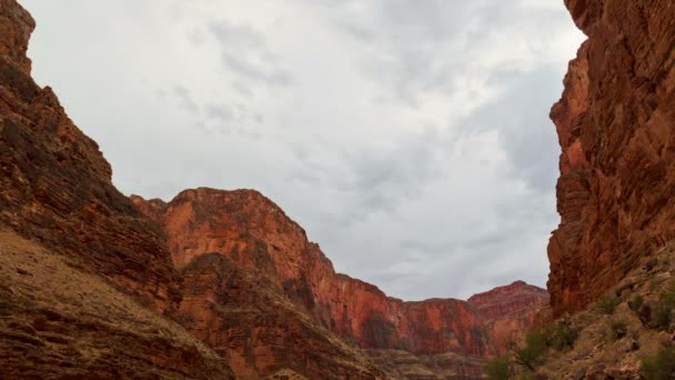 Grand Canyon — Stock Video