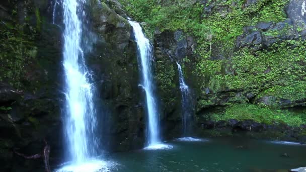 Una cascada pintoresca — Vídeo de stock
