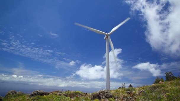 Wind Turbine — Stock Video