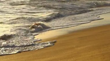 gün batımı, sığ derinlik-in tarla, kum yıkama dalgası