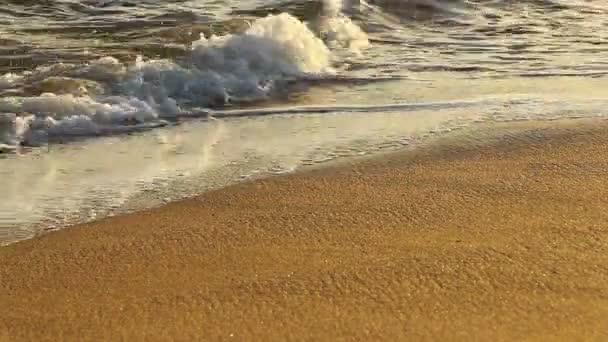 Lavage par vagues sur sable au coucher du soleil, faible profondeur de champ — Video