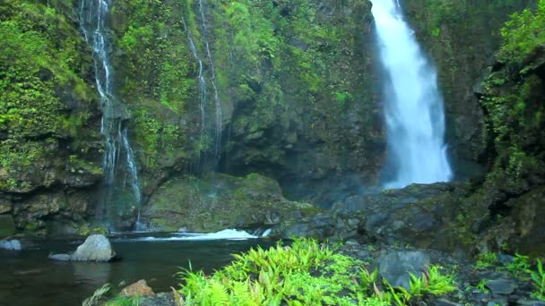 Тропический водопад — стоковое видео