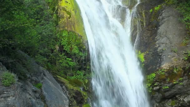 Tropischer Wasserfall — Stockvideo