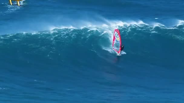 Professional windsurfer rides a giant wave — Stock Video