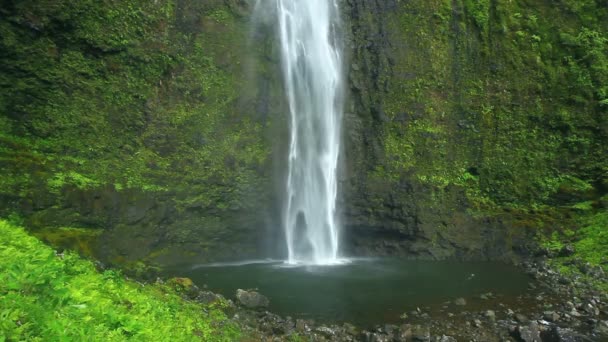 Cachoeira tropical — Vídeo de Stock