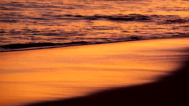 Хвилі на тропічний піщаний пляж — стокове відео