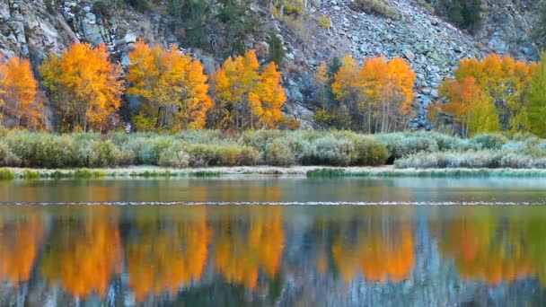 Colores otoño — Vídeos de Stock