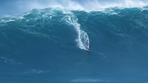 Professional windsurfer rides a giant wave — Stock Video