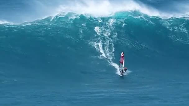 Professional windsurfer rides a giant wave — Stock Video