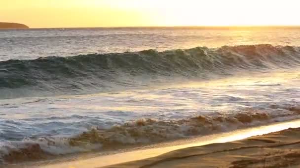 Surf en la playa — Vídeo de stock