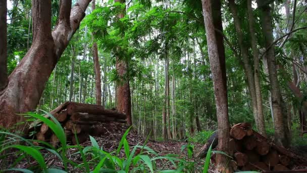 Montanha ciclista — Vídeo de Stock