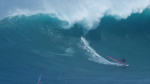 Professional windsurfer rides a giant wave — Stock Video