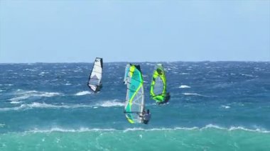 dev bir dalga profesyonel windsurfer rides