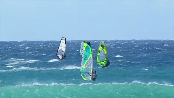 Szakmai windsurfer lovagol egy hatalmas hullám — Stock videók