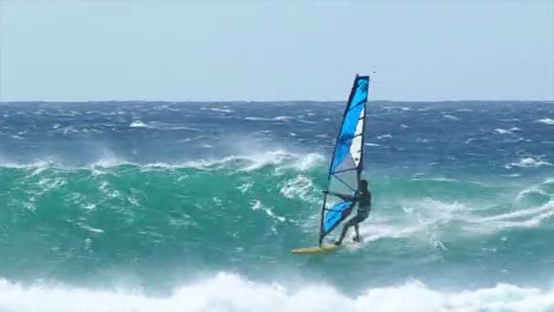 Szakmai windsurfer lovagol egy hatalmas hullám — Stock videók