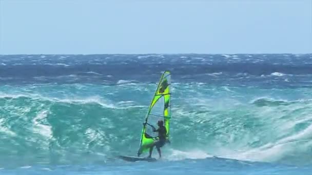 Szakmai windsurfer lovagol egy hatalmas hullám — Stock videók