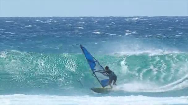 Szakmai windsurfer lovagol egy hatalmas hullám — Stock videók