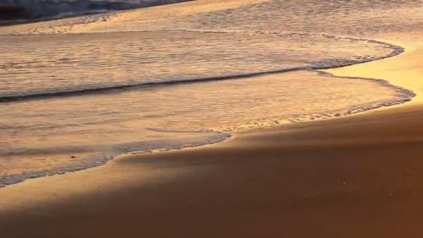 Waves On Tropical Sandy Beach — Stock Video