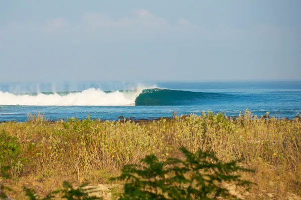 Perfect Surfing Wave — Stock Photo, Image