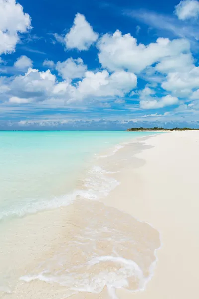 Trópusi strand — Stock Fotó