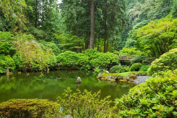 Belo jardim japonês — Fotografia de Stock