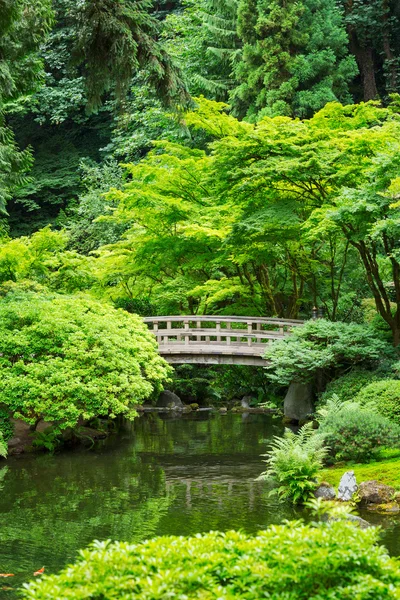 Belo jardim japonês — Fotografia de Stock