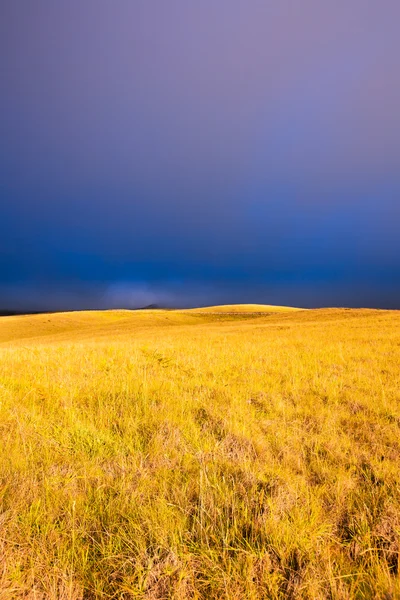 Sunset Meadow — Stock Photo, Image