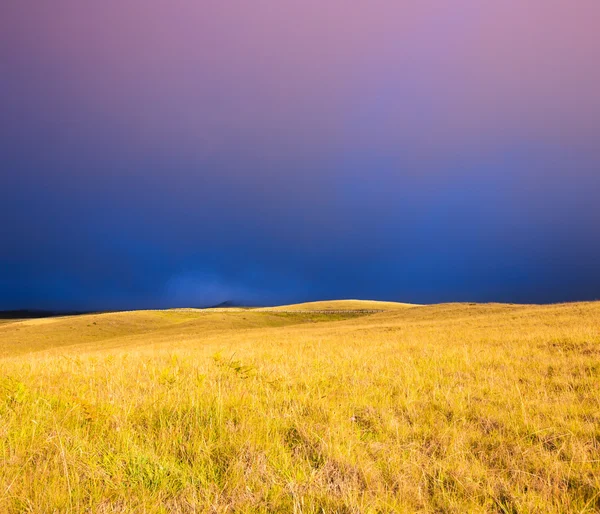 Pôr do sol bonito sobre o campo dourado — Fotografia de Stock