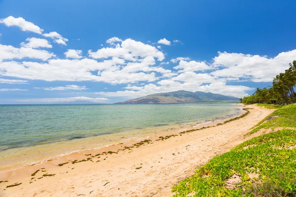 Tropical Beach, Maui — Stock Fotó