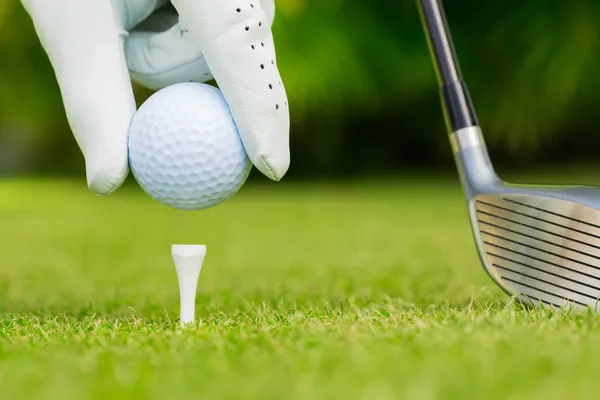 Golf sahasındaki golf topunun yakın görüntüsü