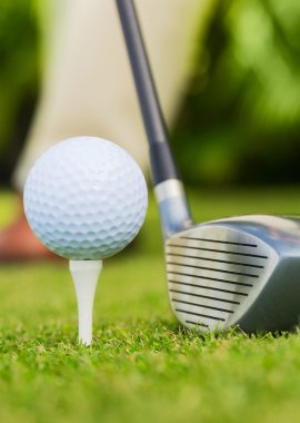 Golf sahasındaki golf topunun yakın görüntüsü