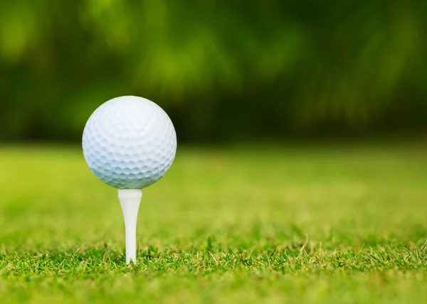 Close up view of golf ball on tee on golf course Stock Image