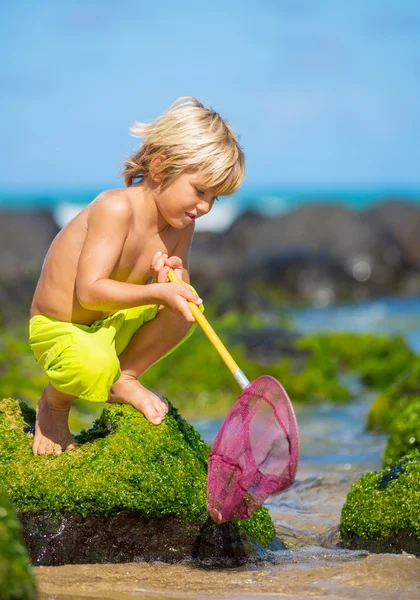 Young boy having fun on tropcial beach — Stock Photo, Image
