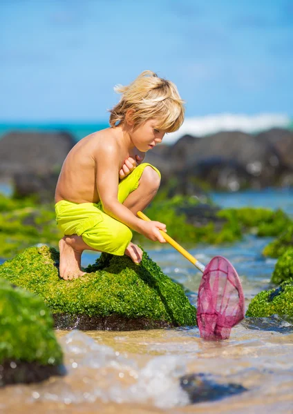 Niño divirtiéndose en la playa tropcial — Foto de Stock
